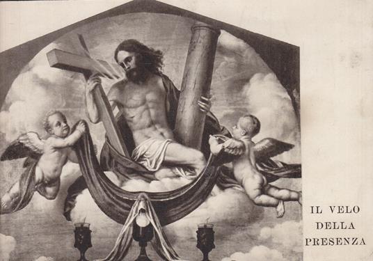 Il velo della presenza - copertina