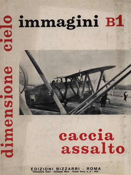 Immagini B1. Caccia assalto - copertina