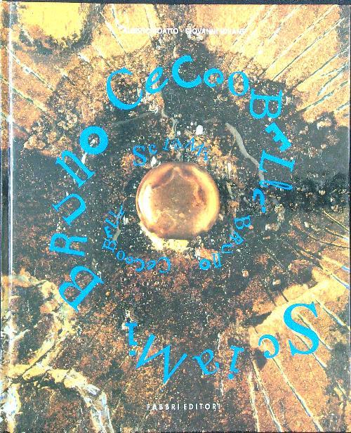 Sciami. Bruno Ceccobelli - Boatto - copertina