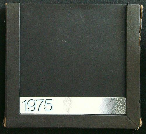 Immagini di Venezia calendario 1975