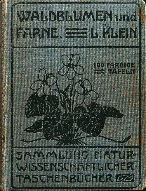 Waldblumen und farne