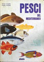 Pesci del Mediterraneo
