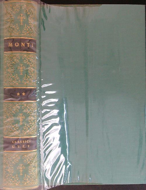 Monti Poesie II