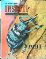 Insetti Vol II