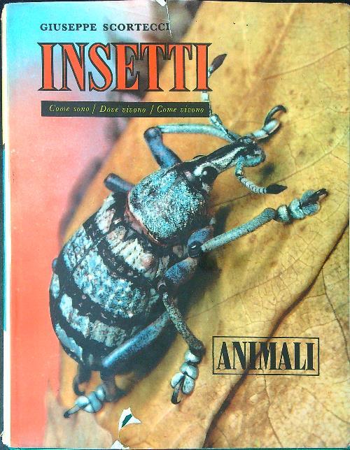 Insetti Vol II - Giuseppe Scortecci - copertina