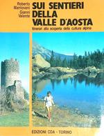 Sui sentieri della Valle d'Aosta. Itinerari alla scoperta della cultura alpina