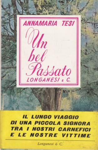 Un bel passato - Annamaria Tesi - copertina