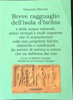 Breve ragguaglio dell'isola d'Ischia