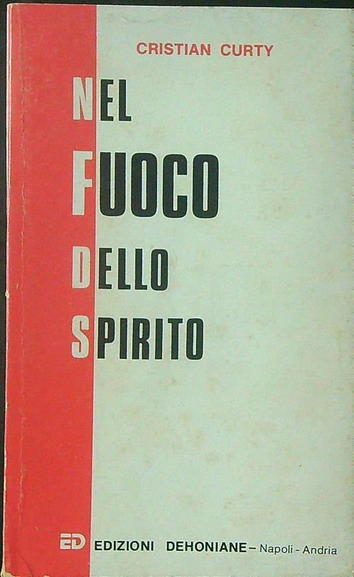 Nel fuoco dello spirito - Cristian Curty - copertina