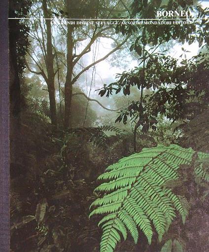 borneo - copertina