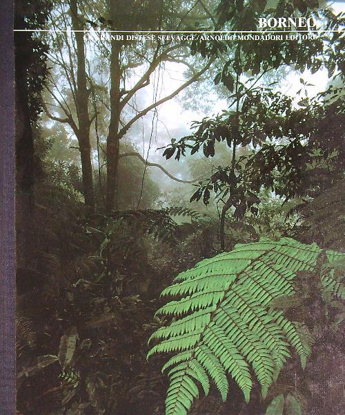 borneo - copertina