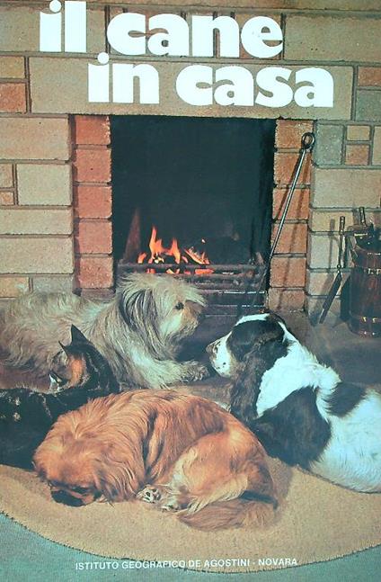 Il cane in casa  - Pier Paolo Mussa - copertina