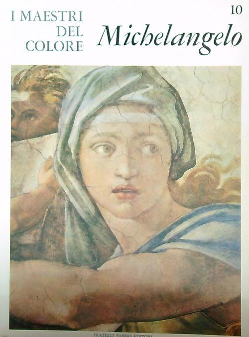 Michelangelo - Anna Forlani - copertina