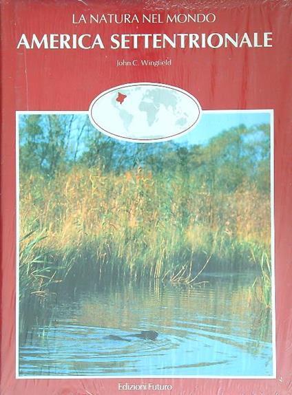 America settentrionale - John Wingfield - copertina