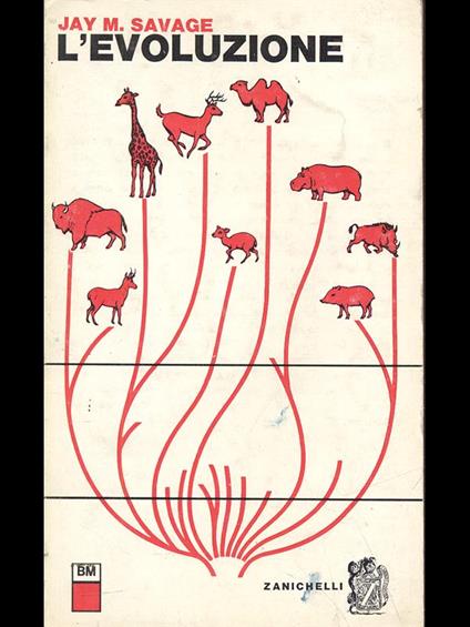 L' evoluzione - Jay M. Savage - copertina