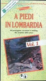 A piedi in Lombardia Vol 1