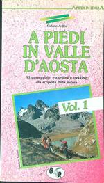 A piedi in Valle d'Aosta 1