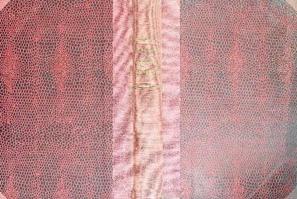 Ospedale generale - Frank Slaughter - copertina