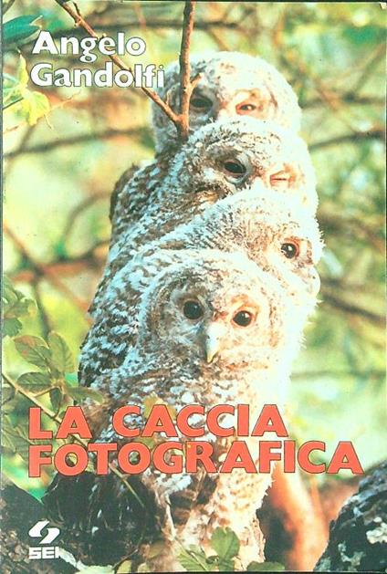 La  caccia fotografica - Angelo Gandolfi - copertina