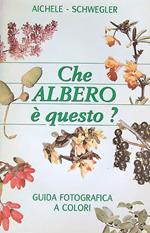 Che albero e' questo?