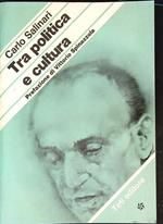 Tra politica e cultura 