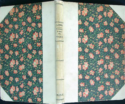 Libro di Faccia