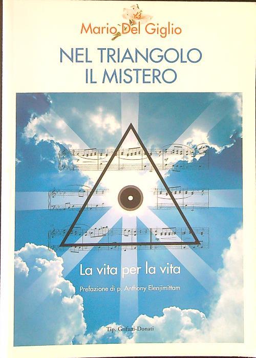 Nel triangolo del mistero - Mario Del Giglio - copertina