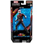 Marvel Legends Series, Ant-Man, action figure (15 cm)