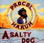 A Salty Dog (Jewel Case)