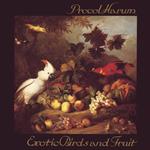 Exotic Birds and Fruit (Expanded Remastered Digipack)