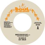 Wanted Dead Or Alive-Can You Feel It