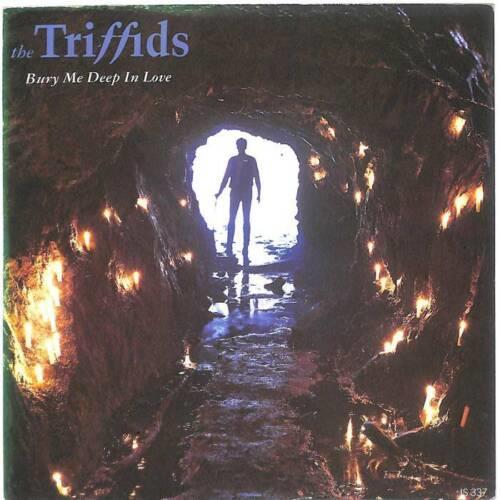 Bury Me Deep In Love - Vinile 7'' di Triffids