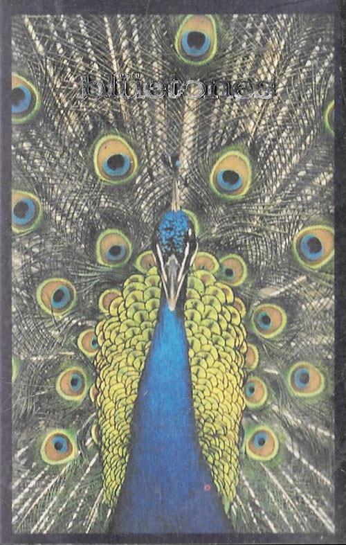 Expecting To Fly - Vinile LP di Bluetones