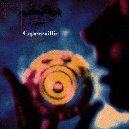 Secret People - CD Audio di Capercaillie