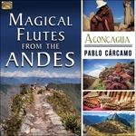Magic Flute From
