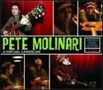 Virtual Landslide - CD Audio di Pete Molinari