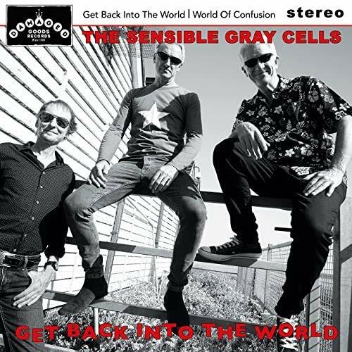 Get Back Into the World - CD Audio di Sensible Gray Cells