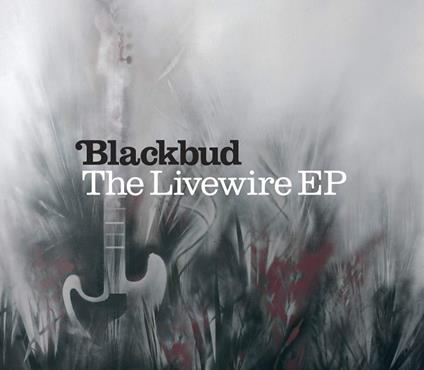 Livewire (3 Tracks) - CD Audio Singolo di Blackbud