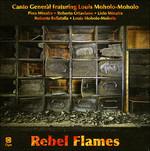 Rebel Flames