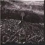 Vapor City - Vinile LP di Machinedrum