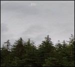 Infinity - CD Audio di Jesu