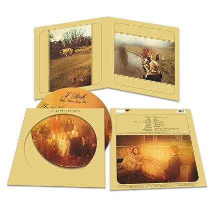 Un po' del nostro tempo migliore (50° Anniversario - Vinile Picture Disc - Edizione Limitata e Numerata) - Vinile LP di Pooh