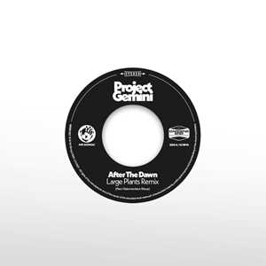 Vinile After The Dawn (Large Plants Remix) - Darkness Rising Project Gemini