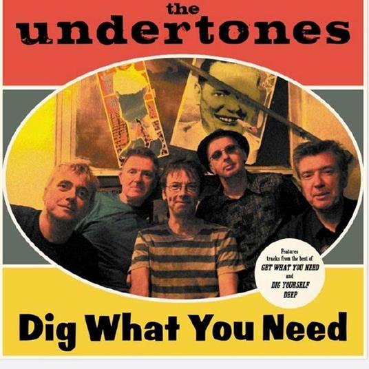 Dig What You Need - Vinile LP di Undertones