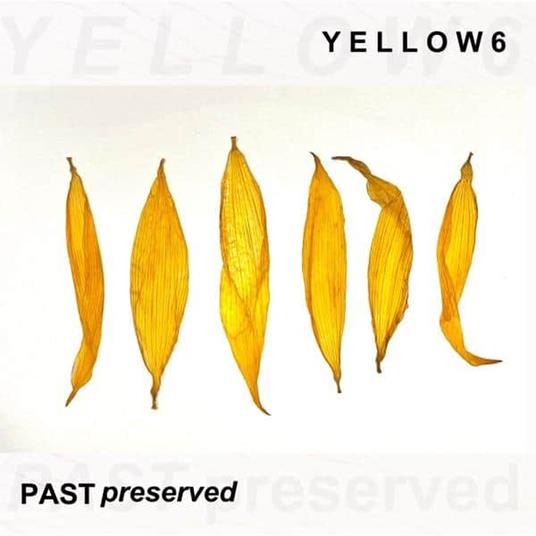 Past Preserved (Yellow Vinyl) - Vinile LP di Yellow 6