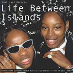 Life Between Islands. Soundsystem Culture: Black Musical Expression in the UK 1973-2006