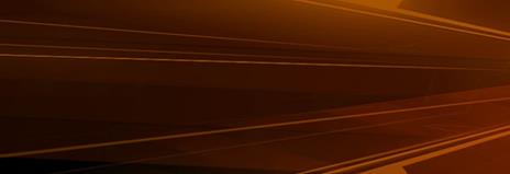 Take-Two Interactive Borderlands Handsome, PS4 Collezione Tedesca PlayStation 4 - 5