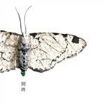 Aun (Colonna sonora)