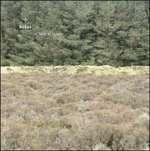 Solas - CD Audio di Claire M. Singer