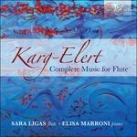 Musica per flauto completa